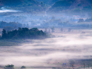 Wall Mural - Fog in The Mountain before Morning  on The Ground