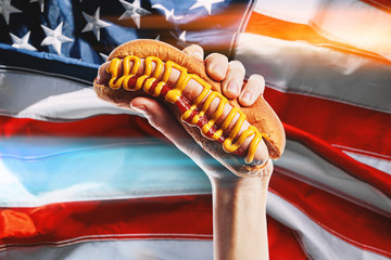 Wall Mural - classic american hot dog in hand on american flag background