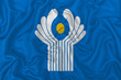 Commonwealth of Independent States flag
