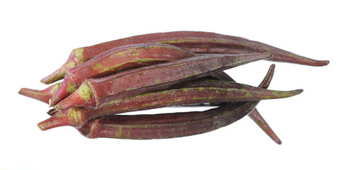 Wall Mural - purple okra