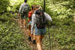 © BalanceFormCreative - Group of friends hiking together in nature.They walking on old path.Rear view.