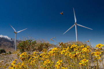 two wind turbines in field with monarch butterfly