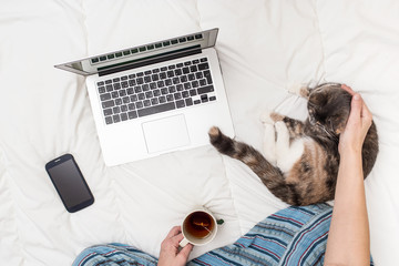 Woman working at home in bed during quarantine self-isolation using laptop and holding in hands a cup of tea, lies next to a cat and a smartphone.