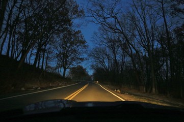 Dark trip on a spooky ride