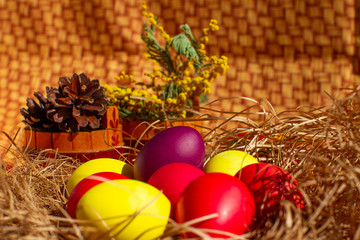 Painted Easter eggs in a nest of straw. Sunlight. Easter still life.