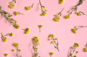 Wall Mural - A lot of wildflowers on a pink background. Yellow wildflowers. Floral background.