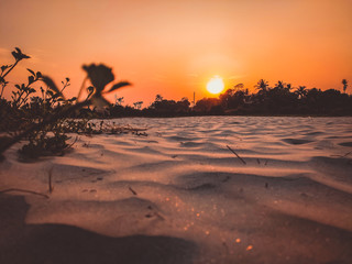 Poster - sunset in The desert, sunset desert close up short with the ground, Sand dunes sun on top of the forest, Evening sunset Sand dunes