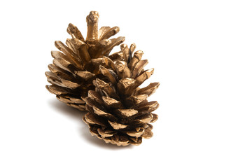 Sticker - golden pine cones isolated