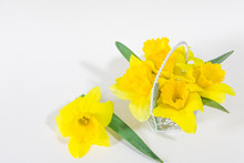 Miniature Basket Decorated With Yellow Flowers Daffodils On A White Background