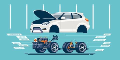 The car on the lift in the car service is divided into two - body part and mechanical part. Components of vehicle systems are shown.