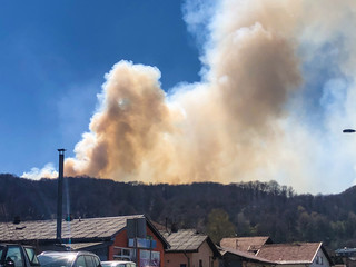 
a large fire from the forest with smoke leaving the atmosphere