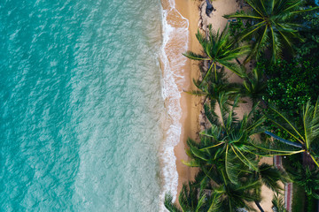 Aerial scenery of picturesque coastline with turquoise water waves and green tropical palm. Bird's eye view of paradise beach shoreline of Hawaii, beautiful tourist destination for summer vacations