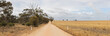 panorama of an unsealed long sandy road leading past rural farmland and native bushland in dry rural Victoria, Australia.