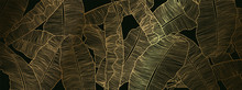 Tropical Banana Leaf Wallpaper, Luxury Nature Leaves Pattern Design, Golden Banana Leaf Line Arts, Hand Drawn Outline Design For Fabric , Print, Cover, Banner And Invitation, Vector Illustration.