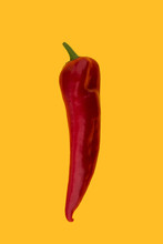 Red Ramiro Pepper On A Yellow Background. Ripe Juicy Appetizing Long Red Pepper Isolated On Yellow. Vegetable Vegetarian Minimal Concept.