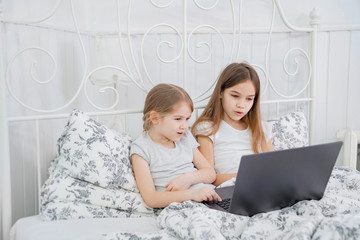 two sisters study on computer online. stay home.