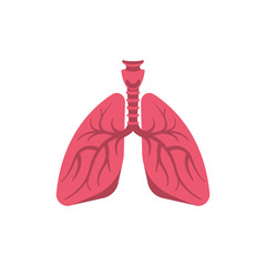 Wall Mural - Lungs flat icon. The internal organs of man. Element anatomy. Vector illustration. Isolated on white background. The organ is affected by coronavirus and pneumonia.