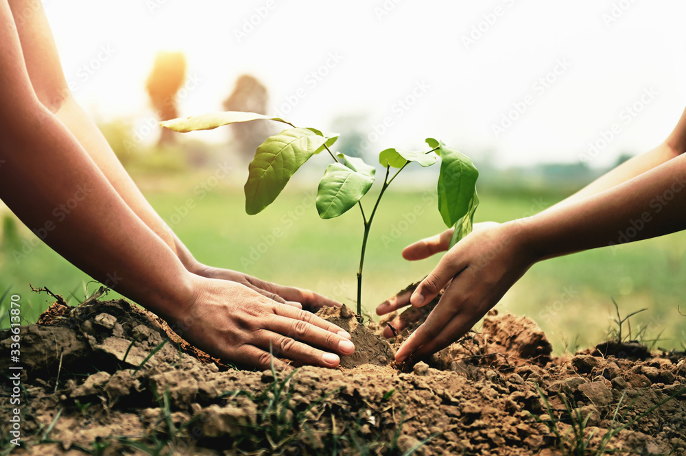 mother with children helping planting tree in nature for save earth. environment eco concept - obrazy, fototapety, plakaty 