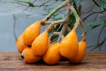 Canvas Print - Loquat fruit, named for its shape resembling a lute instrument