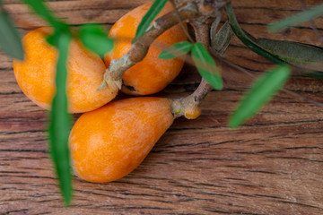 Wall Mural - Loquat fruit, named for its shape resembling a lute instrument