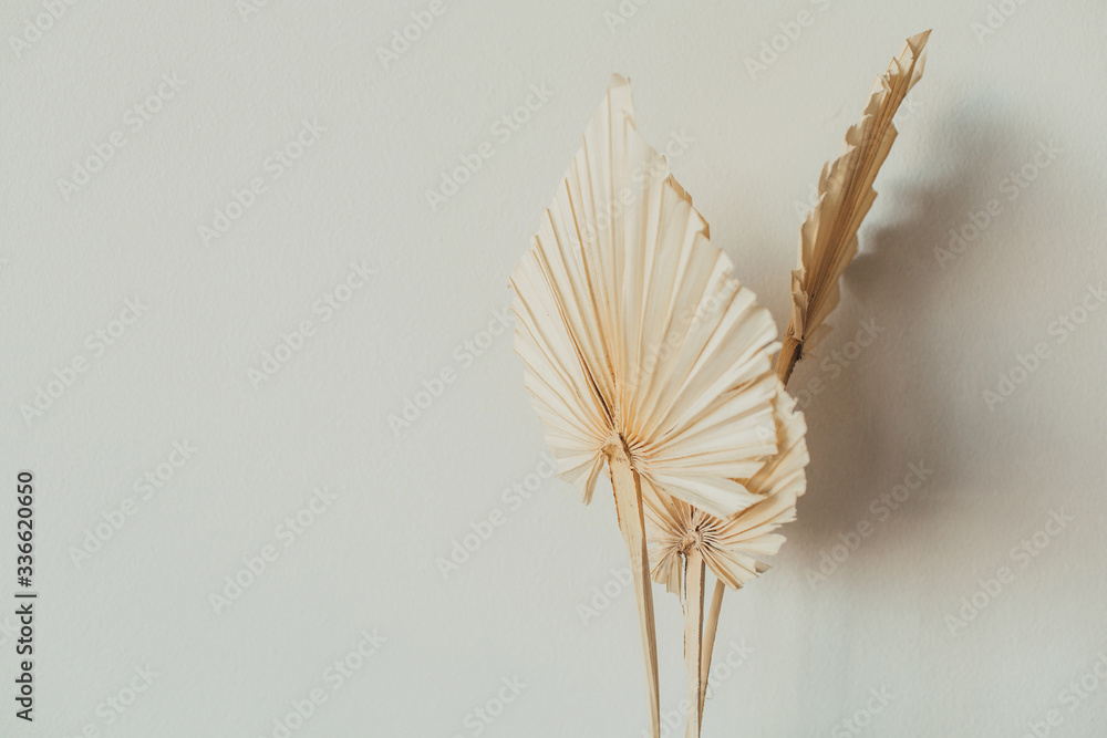 Fan leaves made of craft paper on white background. Minimal floral concept. - obrazy, fototapety, plakaty 