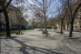 Fototapeta Sawanna - empty streets of European capital