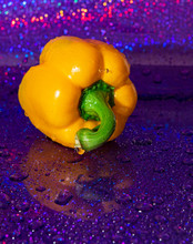 Wet Big Yellow Pepper In A Spark Of Light