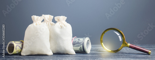 Fotografía Clear money bags and magnifying glass