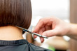 © okskukuruza - Hairdresser cuts hair tips of short hairstyle of woman back view with copy space. Toned.