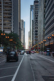 Fototapeta Nowy Jork - Chicago in summer with clear skies with buildings and greenery