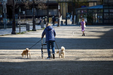 OId Woman Using A Four Wheel Rollator, Walking Two Dogs Along The Bassin De La Villette In Paris (France), Facing A Young Woman Walking Her Dog In The Background.