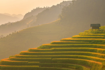 Wall Mural - Mu Cang Chai is located in the Northern part of Vietnam 