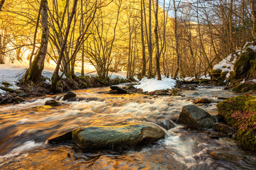 Wall Mural - l'hiver dans le val d'aran