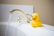 © J. Rykse - Bath time Rubber Ducky Fun