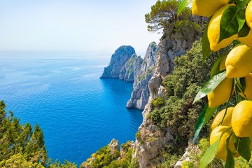 Wall Mural - Famous Faraglioni Rocks, Capri Island, Italy. Beautiful paradise landscape with azure sea in sunny day with ripe yellow lemons in foreground.