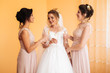 © ostap_davydiak - Bride with merry girlfriends at the wedding drink champagne from glasses. Bride and girlfriends hug in the room. Morning Bride and girlfriends.