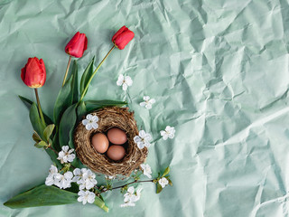 Happy easter. Congratulatory easter background. Easter eggs in a nest and three red tulips on a light green background.