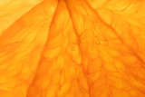 Fototapeta  - Bright juicy orange pulp close-up. High-quality image is suitable for topics: healthy lifestyle, vitamins, proper nutrition, diet, summer, fresh juices. Background fruit texture.