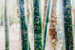 Bamboo scratched