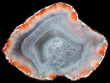© Dmitriy D - Slice of white agate geode with red zeolites on the periphery and quartz in the center. Russia, Kemerovo region, deposit Yachmenuha