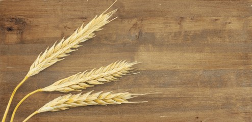 Wall Mural - Wheat.