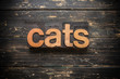 © enterlinedesign - Cats Concept Vintage Wooden Letterpress Type Word