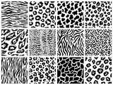 Fototapeta  - Animal seamless pattern set. Mammals Fur. Collection of print skins. Predators Camouflage. Cheetah Giraffe Zebra Leopard Holstein cattle Snake Jaguar. Printable Background. Vector illustration.