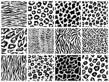 Animal Seamless Pattern Set. Mammals Fur. Collection Of Print Skins. Predators Camouflage. Cheetah Giraffe Zebra Leopard Holstein Cattle Snake Jaguar. Printable Background. Vector Illustration.