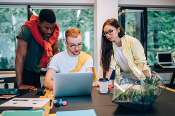 Wall Mural - Young diverse colleagues using laptop together