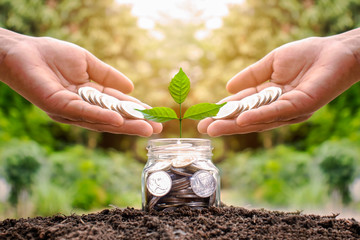 The two hands are putting money in a bottle with seedlings growing in a bottle on a natural green background, money saving concept and financial investment concept.