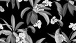 Floral seamless pattern, Woolly rock jasmine flowers and Cordyline fruticosa Firebrand plant in black and white