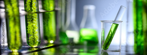 Cuadros en Lienzo Photobioreactor in laboratory of algae fuel, biofuel industry project, Algae res