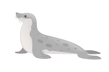 Wall Mural - cute seal cartoon animal design flat vector illustration isolated on white background