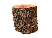 Log Isolated On A White Background